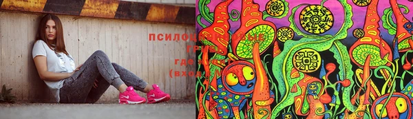 герыч Медногорск
